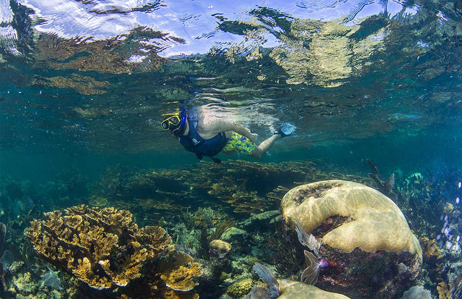 Snorkel Riviera Maya