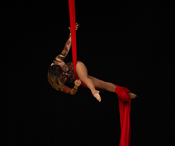🎪Show de Circo