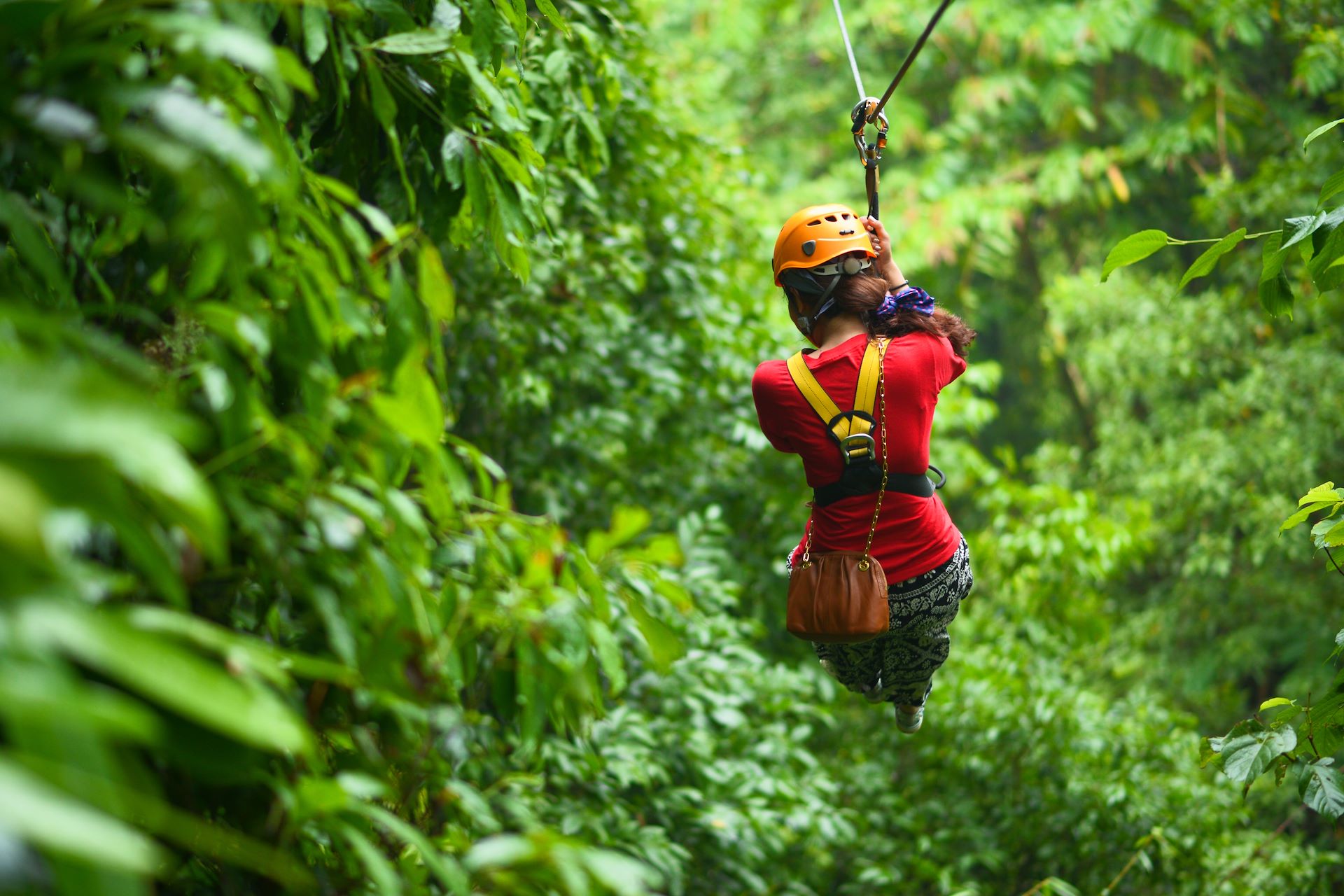 Canopy Tour